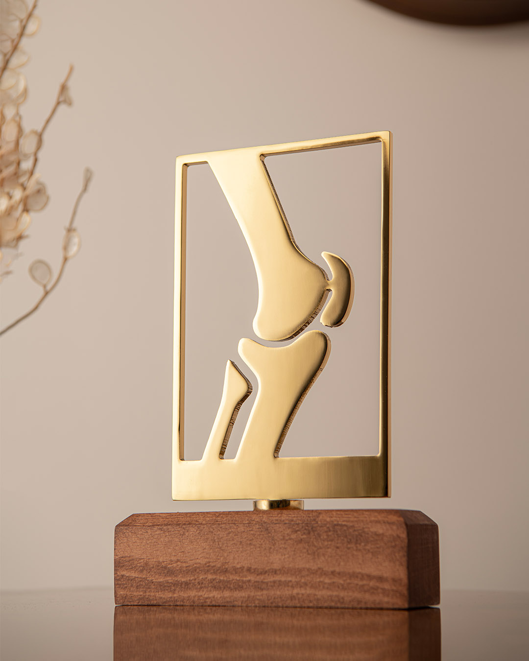 تندیس ارتوپدی